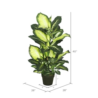Foto 2 | Foto 2 | Árbol Artificial Vickerman Everyday Dieffenbachia De 40 Cm De Altura - Venta Internacional.