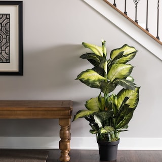 Foto 3 | Foto 3 | Árbol Artificial Vickerman Everyday Dieffenbachia De 40 Cm De Altura - Venta Internacional.