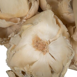 Foto 4 | Foto 4 | Gorro De Palma Natural Vickerman De Botanicals, 2,75 A 3,6 Cm, Blanqueado, 25 Unidades - Venta Internacional.