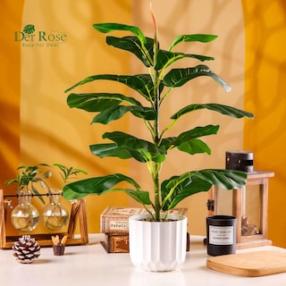Foto 6 | Foto 6 | Higuera Artificial Con Hoja De Violín, Der Rose, 24 Pulgadas, Con Maceta - Venta Internacional.