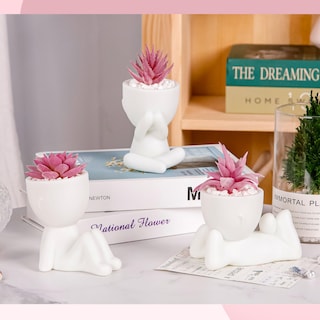 Foto 5 | Foto 5 | Plantas Suculentas Artificiales Der Rose Pink Para Decoración De Habitación (3 Unidades) - Venta Internacional.