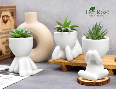 Foto 4 | Foto 4 | Set De Plantas Suculentas Artificiales De 3 Piezas Con Macetas Para Decoración Del Hogar - Venta Internacional.