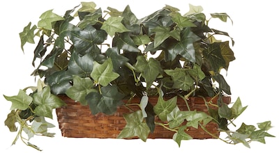 Foto 1 | Foto 1 | Planta De Seda, Hiedra Con Cesta Con Repisa 32cm - Venta Internacional
