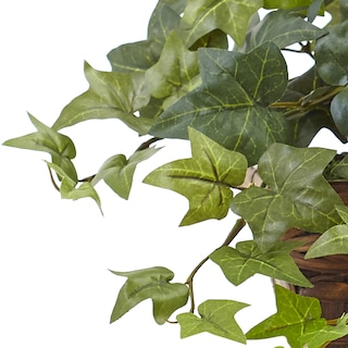 Foto 2 | Foto 2 | Planta De Seda, Hiedra Con Cesta Con Repisa 32cm - Venta Internacional