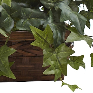 Foto 3 | Foto 3 | Planta De Seda, Hiedra Con Cesta Con Repisa 32cm - Venta Internacional
