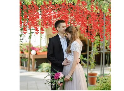 Foto 4 | Foto 4 | Xtellar Wisteria Flores Artificiales De Lujo - Pack De 27 Para Decoración Eventos Y Espacios Elegantes De 1.1m
