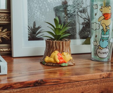 Foto 6 | Foto 6 | Maceta De Cerámica Con Tocón De Árbol De Winnie The Pooh Con Suculentas De 5 Pulgadas - Venta Internacional.