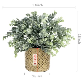 Foto 5 | Foto 5 | Planta De Eucalipto Artificial Mygift Con Modernas Macetas De Hormigón - Venta Internacional.