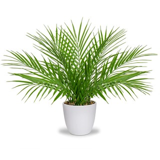 Foto 1 | Foto 1 | Palmera Artificial Briful De 38 Cm En Maceta Blanca Real Touch - Venta Internacional.