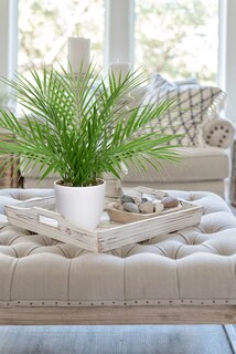 Foto 6 | Foto 6 | Palmera Artificial Briful De 38 Cm En Maceta Blanca Real Touch - Venta Internacional.