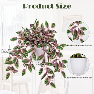 Foto 2 | Foto 2 | Planta Colgante De Sandía Artificial Peperomia Briful Pink - Venta Internacional.
