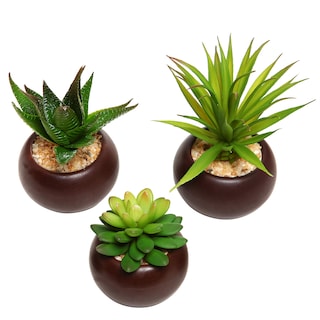 Foto 2 | Foto 2 | Plantas Suculentas Artificiales Mygift Con Macetas Redondas De Cerámica - Venta Internacional.