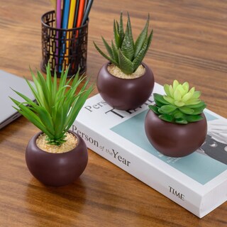 Foto 5 | Foto 5 | Plantas Suculentas Artificiales Mygift Con Macetas Redondas De Cerámica - Venta Internacional.