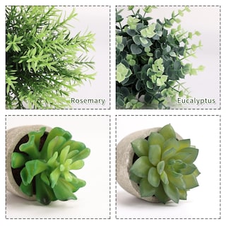 Foto 3 | Foto 3 | Plantas Artificiales Cewor Eucalipto Y Romero Suculentas 4 Unidades Con Macetas - Venta Internacional.
