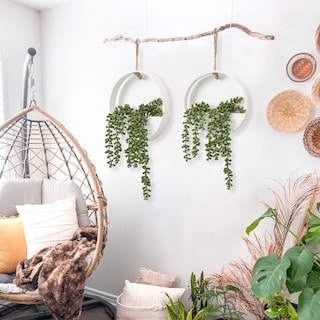 Foto 4 | Foto 4 | Plantas Suculentas Colgantes Artificiales Cewor Con Cordón 2 Unidades Blancas - Venta Internacional.