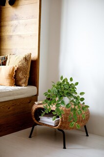 Foto 5 | Foto 5 | Planta Artificial Briful Sandía Peperomia Green De 17.7 Pulgadas - Venta Internacional.