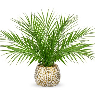 Foto 1 | Foto 1 | Planta Artificial Briful De Palma Sintética De 38 Cm Con Maceta De Color Blanco Dorado - Venta Internacional.