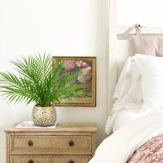 Foto 5 | Foto 5 | Planta Artificial Briful De Palma Sintética De 38 Cm Con Maceta De Color Blanco Dorado - Venta Internacional.