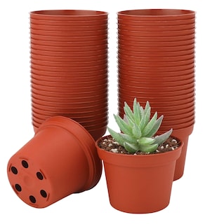 Foto 1 | Foto 1 | Macetitas Terracota 100 Macetas Cactus, Marrón Rojizo + Negro