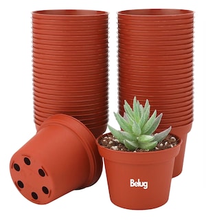 Foto 1 | Foto 1 | Macetitas Terracota 100 Macetas Cactus, Marrón Rojizo + Negro