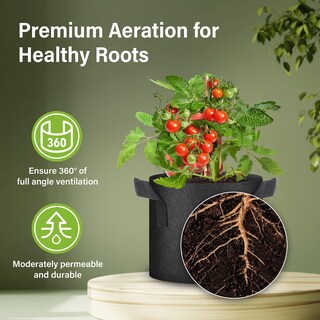 Foto 4 | Foto 4 | Maceta Para Cultivo De Plantas Healsmart Tomoato De 3 Galones Paquete De 10 Unidades - Venta Internacional.