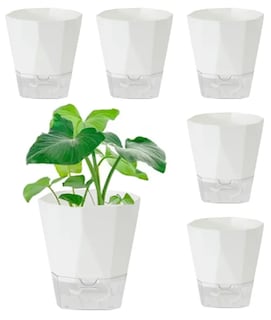 Foto 1 | Foto 1 | Conjunto Premium Xtellar De 6 Macetas De Plástico Eco-amigables Y Autónomas Para Plantas Y Decoración