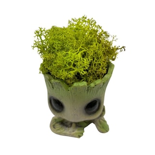 Foto 2 | Foto 2 | Poliresina Moss Groot Preservada, 12 Cm, 8 Años De Duración - Venta Internacional.