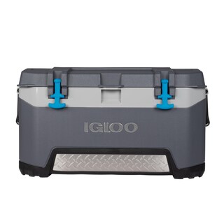 Foto 1 | Foto 1 | Hielera Cooler Igloo De Un Cuarto De Galón Con Tecnología Cool Riser - Venta Internacional.