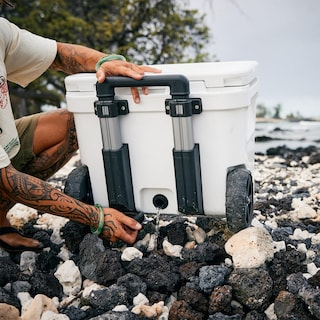 Foto 4 | Foto 4 | Cooler Yeti Roadie De 32 Ruedas, Color Violeta Ultramar - Venta Internacional.