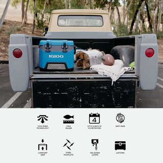 Foto 5 | Foto 5 | Cooler Igloo Bmx, Gris, 25 Cuartos De Galón, Tiene Capacidad Para 37 Latas - Venta Internacional.