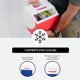 Foto 5 | Foto 5 | Cooler Igloo Playmate Pal Azul/blanco 7l - Venta Internacional.