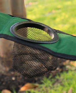 Foto 3 | Foto 3 | Set de 10 Sillas Plegables Ilios Innova Impermeable color Verde