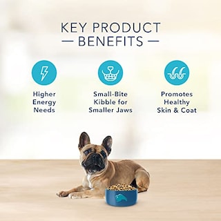 Foto 6 | Foto 6 | Alimento Para Perros Blue Buffalo Basics Para El Cuidado De La Piel Y El Estómago, 5 Kg, Cordero - Venta Internacional.