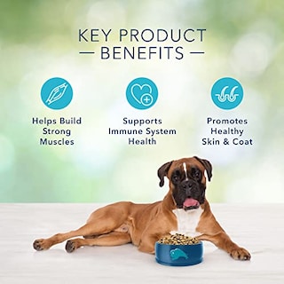 Foto 5 | Foto 5 | Alimento Para Perros Blue Buffalo Freedom, Pollo Sin Cereales, 5 Kg - Venta Internacional.