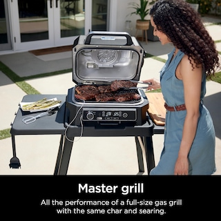 Foto 2 | Foto 2 | Parrilla Y Ahumador Exterior Ninja Og850 Woodfire Pro Xl Blue - Venta Internacional.