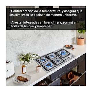Foto 3 | Foto 3 | Parrilla Gutstark 5 Quemadores Acero Inox Gas Lp y Natural Empotrable
