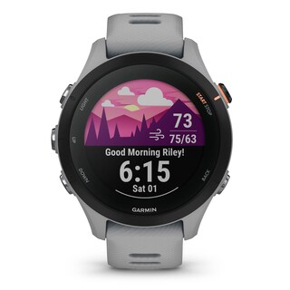 Foto 2 | Foto 2 | Reloj Inteligente Garmin Forerunner 255s Gps Running 41 Mm Gris - Venta Internacional