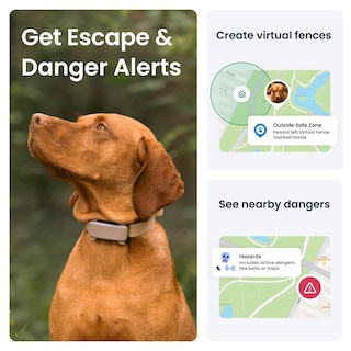 Foto 4 | Foto 4 | Rastreador Gps Para Perros Tractive 2025, Versión En Tiempo Real, Marrón - Venta Internacional.