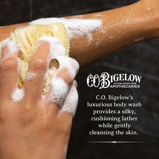 Foto 3 | Foto 3 | Gel De Baño C.o. Bigelow Iconic Collection Vetiver 310 Ml - Venta Internacional.