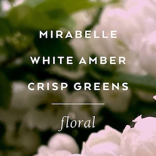 Foto 4 | Foto 4 | Gel De Ducha Lollia Elegance White Amber & Mirabelle 240 Ml - Venta Internacional.