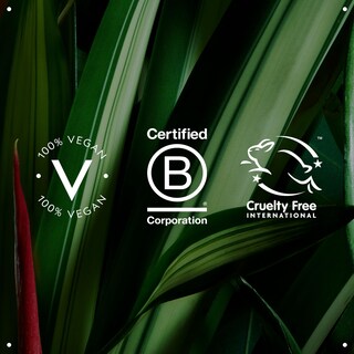 Foto 7 | Foto 7 | Tratamiento Sin Enjuague Aveda Botanical Repair Strengthening 25 Ml - Venta Internacional.