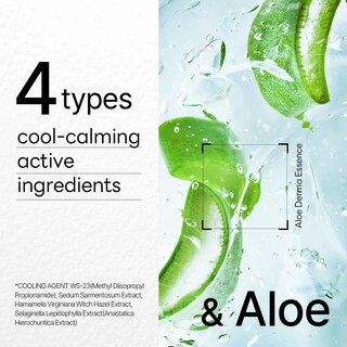 Foto 5 | Foto 5 | Mascarilla Mediheal Dermaplus Aloe Hydrating (10 Unidades) - Venta Internacional.