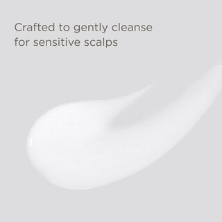 Foto 5 | Foto 5 | Champú Y Acondicionador Hairitage Hasta Lo Básico - Venta Internacional.