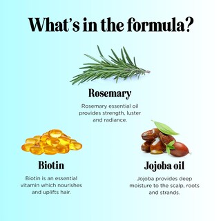 Foto 5 | Foto 5 | Set De Champú Y Acondicionador Maple Holistics Volumizing - Venta Internacional.