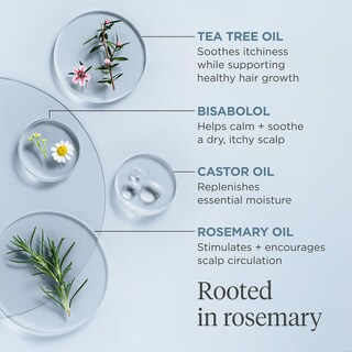 Foto 5 | Foto 5 | Aceite De Prelavado Scalp Revival Rosemary Briogeo 30 Ml - Venta Internacional.