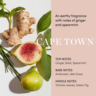 Foto 5 | Foto 5 | Sérum Hidratante Equilibrante Ouai Para Cuero Cabelludo Con Extracto De Trébol Rojo - Venta Internacional.