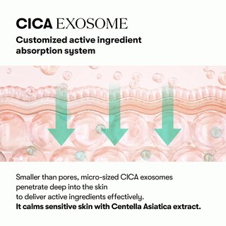 Foto 4 | Foto 4 | Serum Vt Cosmetics Pdrn Cica Exosome Ampolla Antienvejecimiento 30 Ml - Venta Internacional.