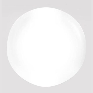 Foto 6 | Foto 6 | Polvo Con Núcleo Acrílico Young Nails Autonivelante 45 G Xxx Blanco - Venta Internacional.