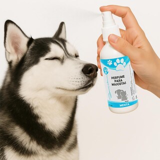 Foto 4 | Foto 4 | Spray Seguro Aroma Menta Mascotas Zoohugs Mxzfn-004 4 Piezass Botella Con Atomizador Color Blanco