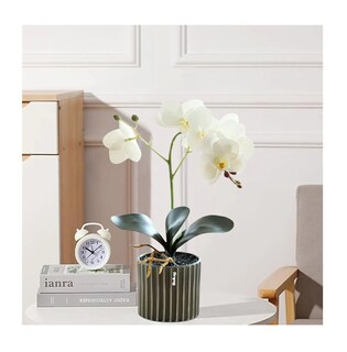 Foto 5 | Foto 5 | Arreglo Orquídea Artificiales Decoración Blanca